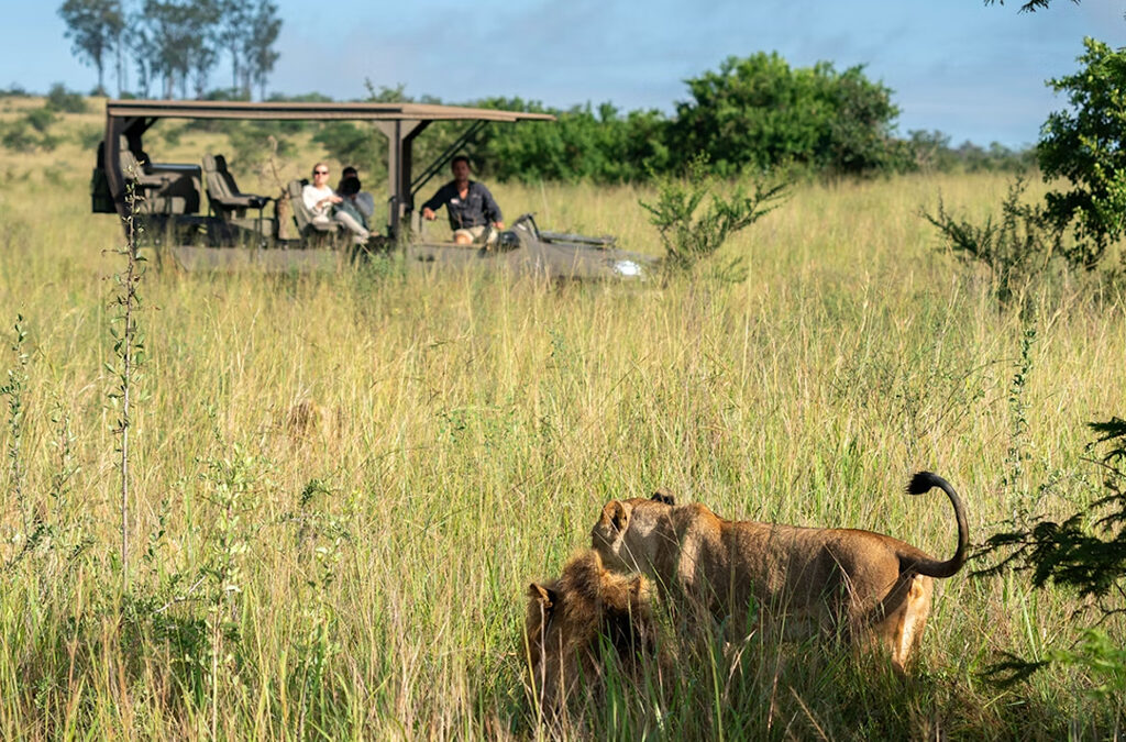 Akagera National Park Game Drive Akagera National Park. Rwanda