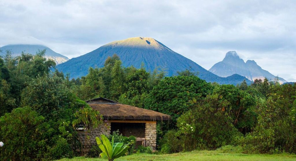 Best of Rwanda’s National Parks Safari | Akagera, Nyungwe & Volcanoes