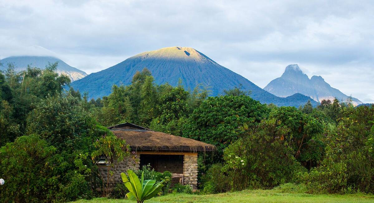 Best of Rwanda’s National Parks Safari | Akagera, Nyungwe & Volcanoes