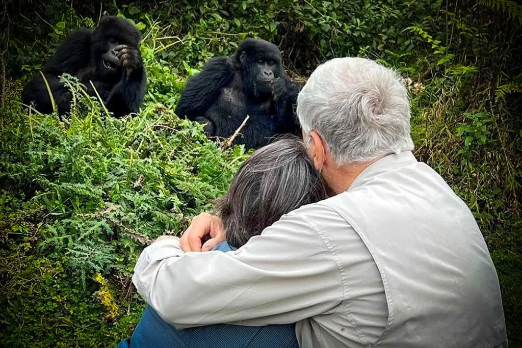 Exclusive Gorilla Trekking in Rwanda