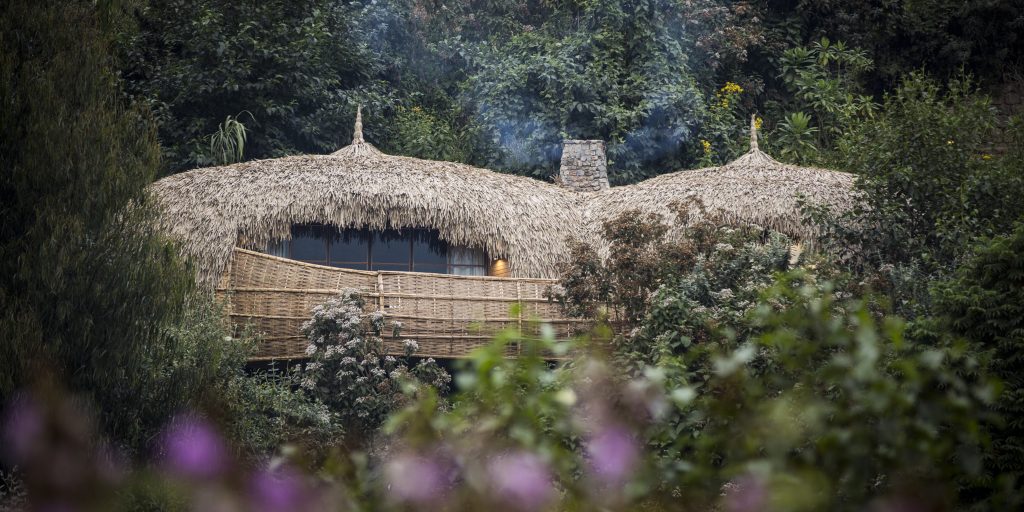 Rwanda Gorilla Expeditions: Gorilla Trekking & Wildlife Safaris.