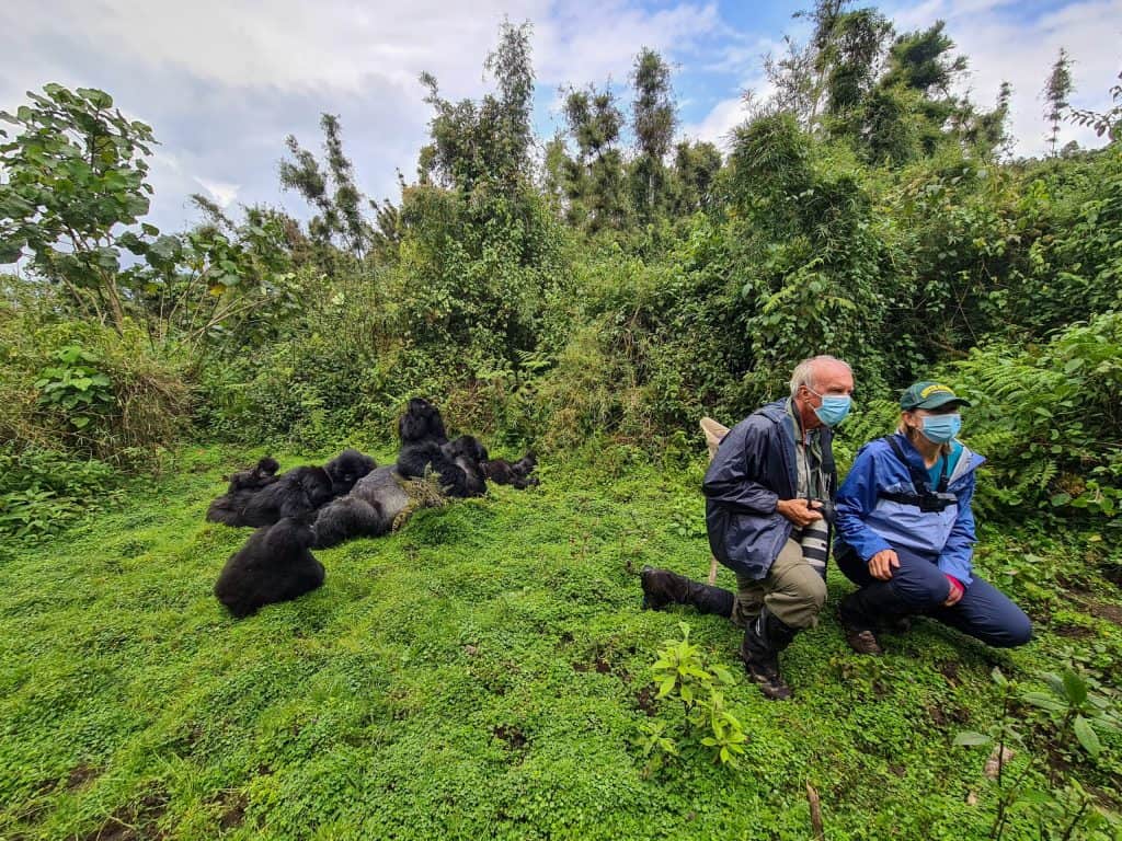 Gorilla Trekking in Rwanda 2026: Permits, Cost, Safety & Volcanoes National Park