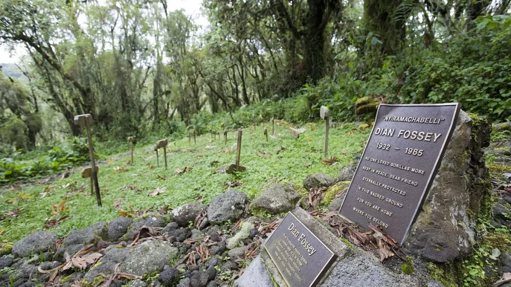 The Dian Fossey Graves Hike