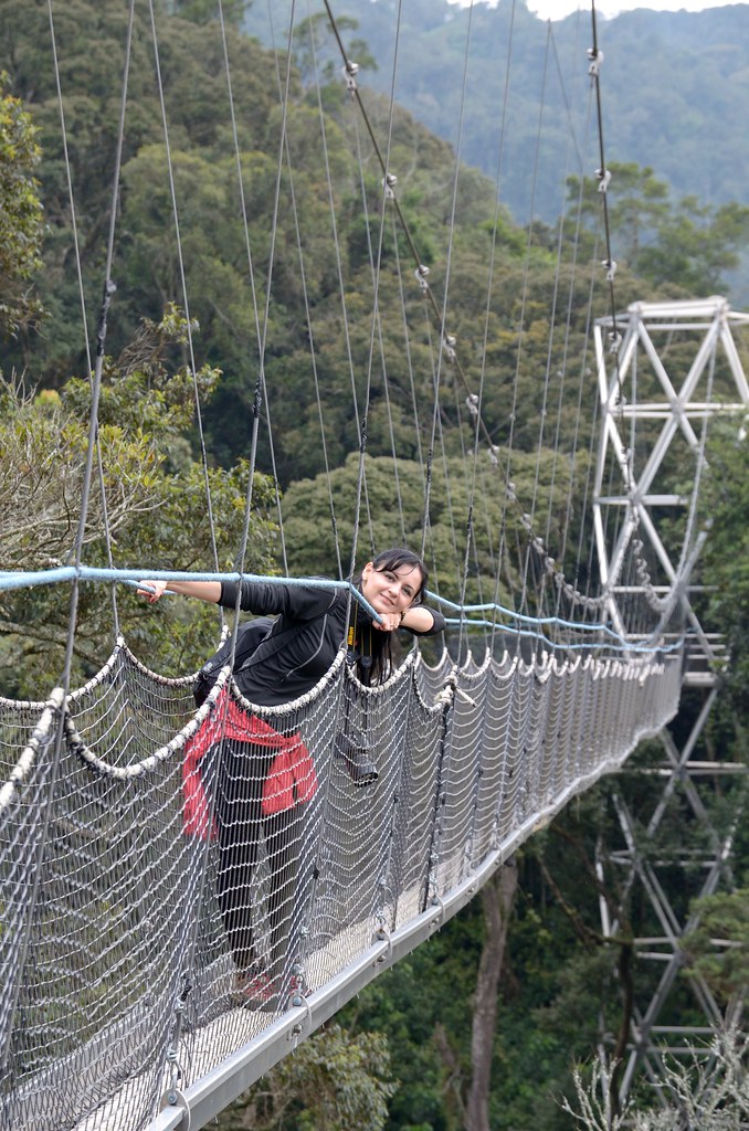 The Nyungwe Canopy Walkway